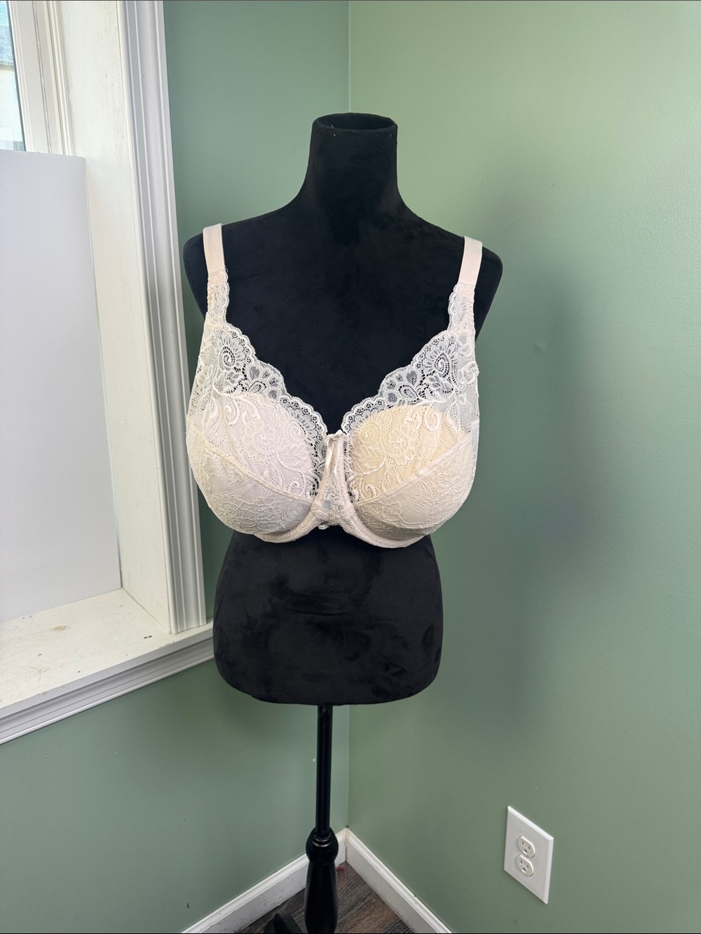 Panache Lace Underwire Bra in Cream 40J